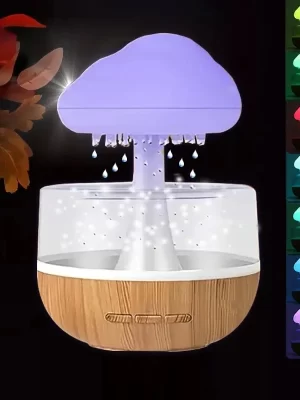 Rainy day humidifier